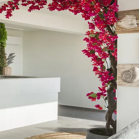 Erolidae 4* Atsoupades